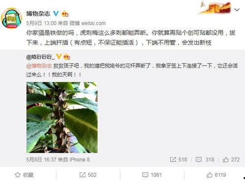 娱乐圈吃瓜er微博,揭秘明星幕后故事，揭秘娱乐圈真相