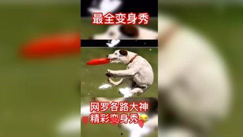 嘻嘻哈哈娱乐吃瓜